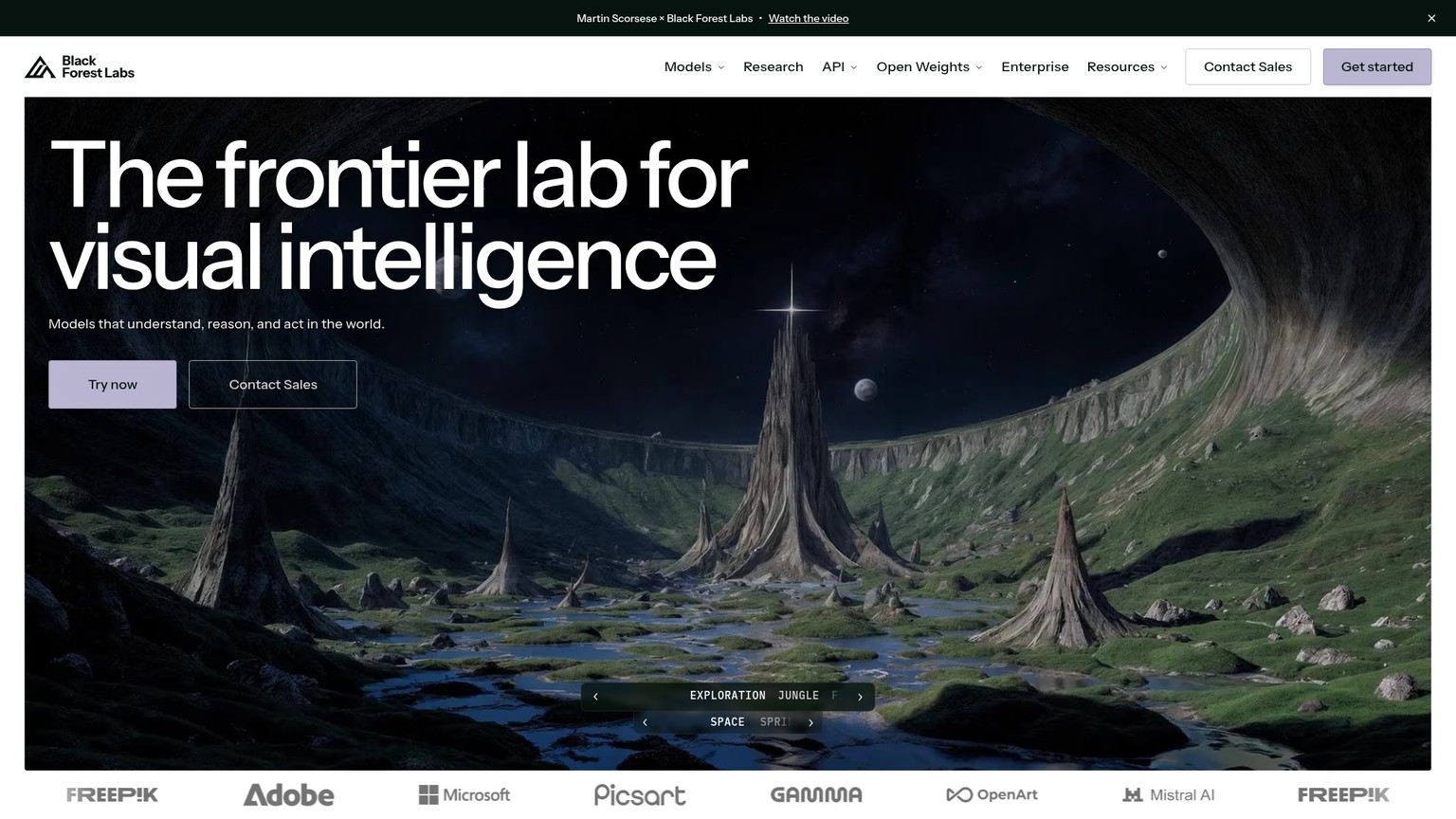 FLUX.2 by Black Forest Labs screenshot