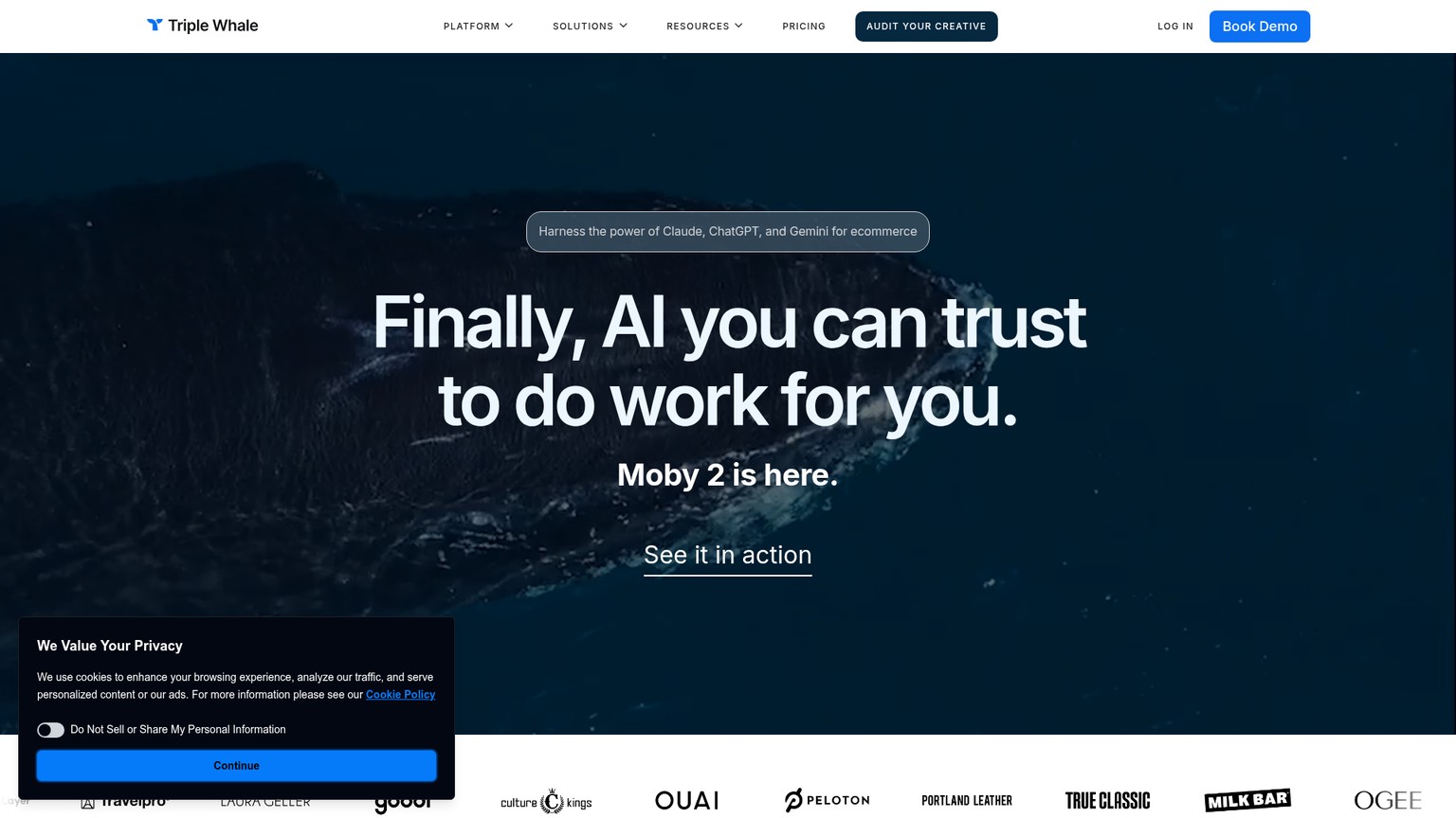 Triple Whale screenshot