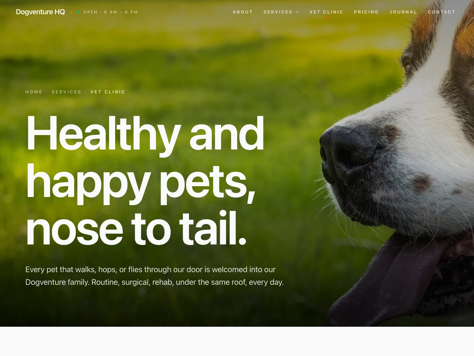 Die Tierklinik von Dogventure