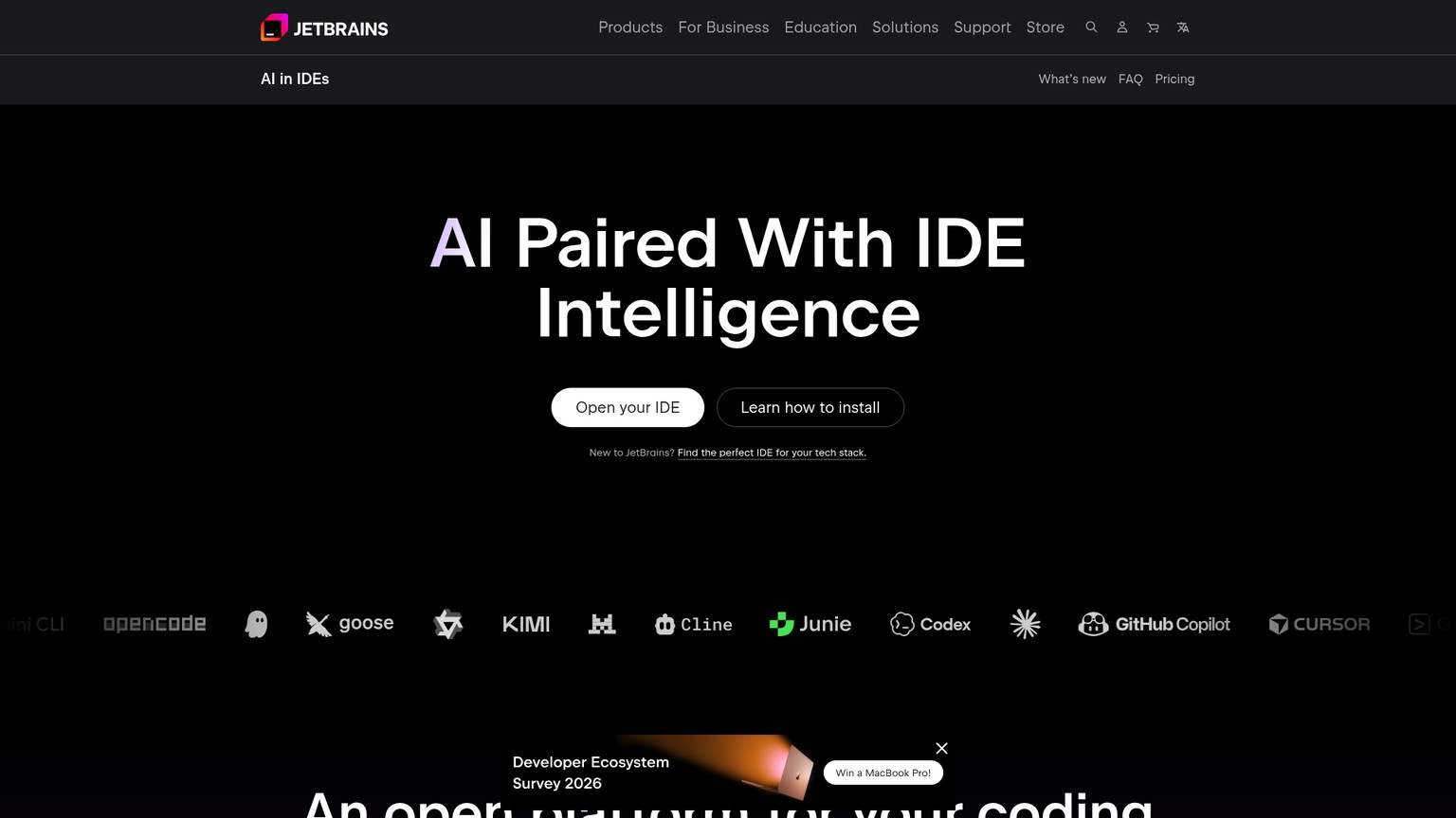 JetBrains AI screenshot