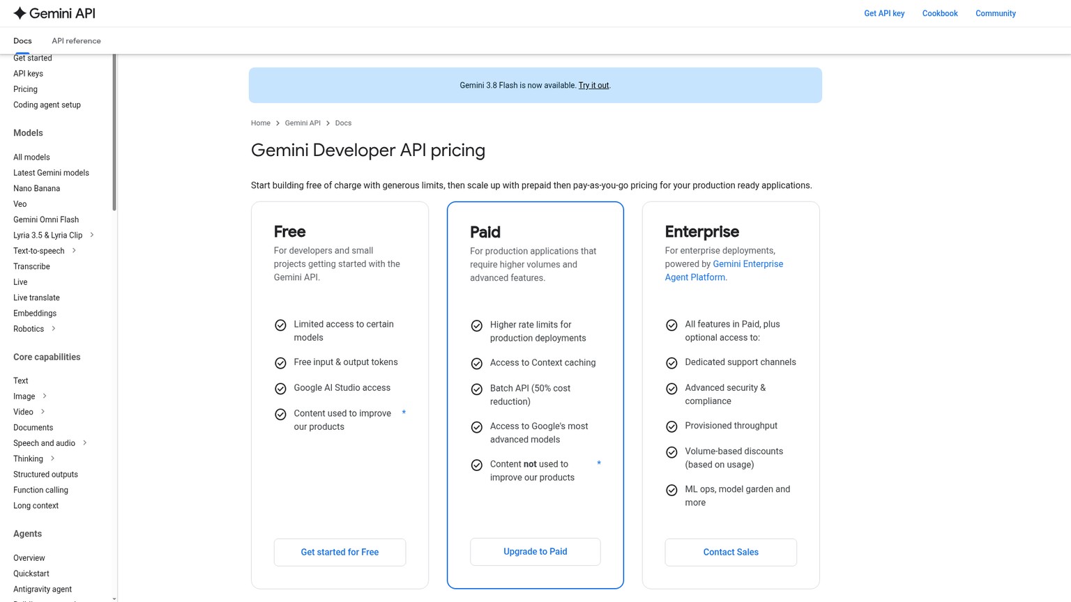 Google's official Gemini Developer API pricing page