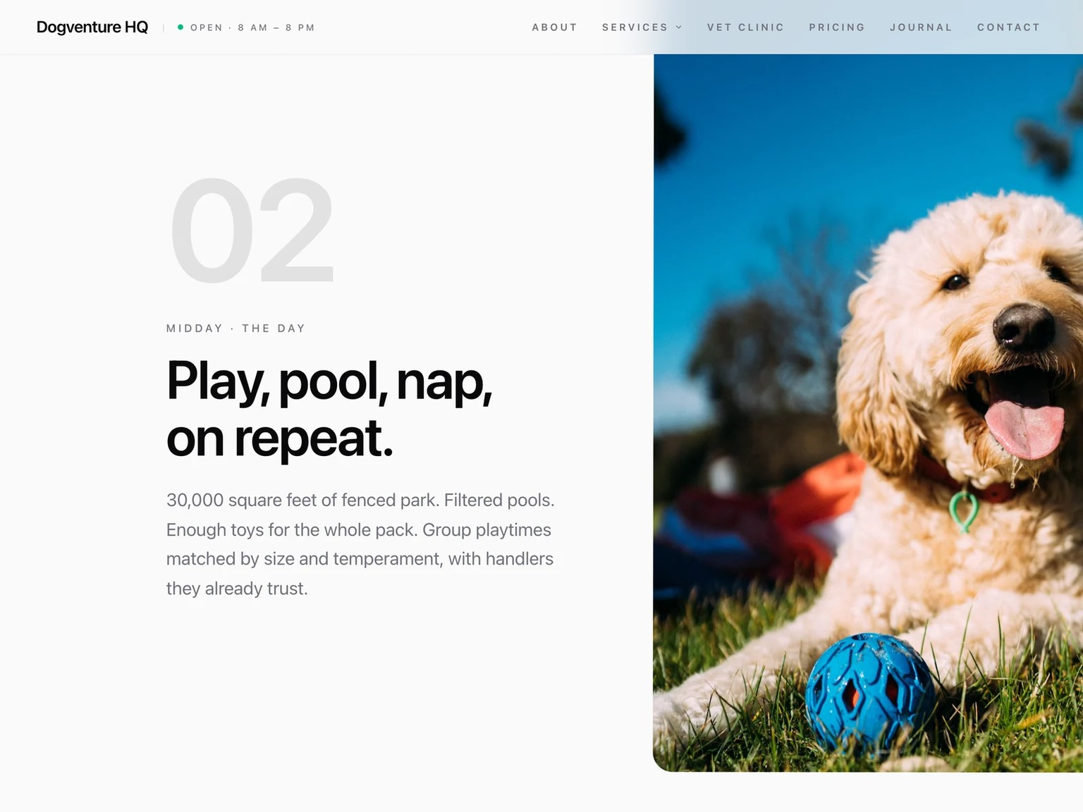 Der Tag eines Hundes auf dogventurehq.com