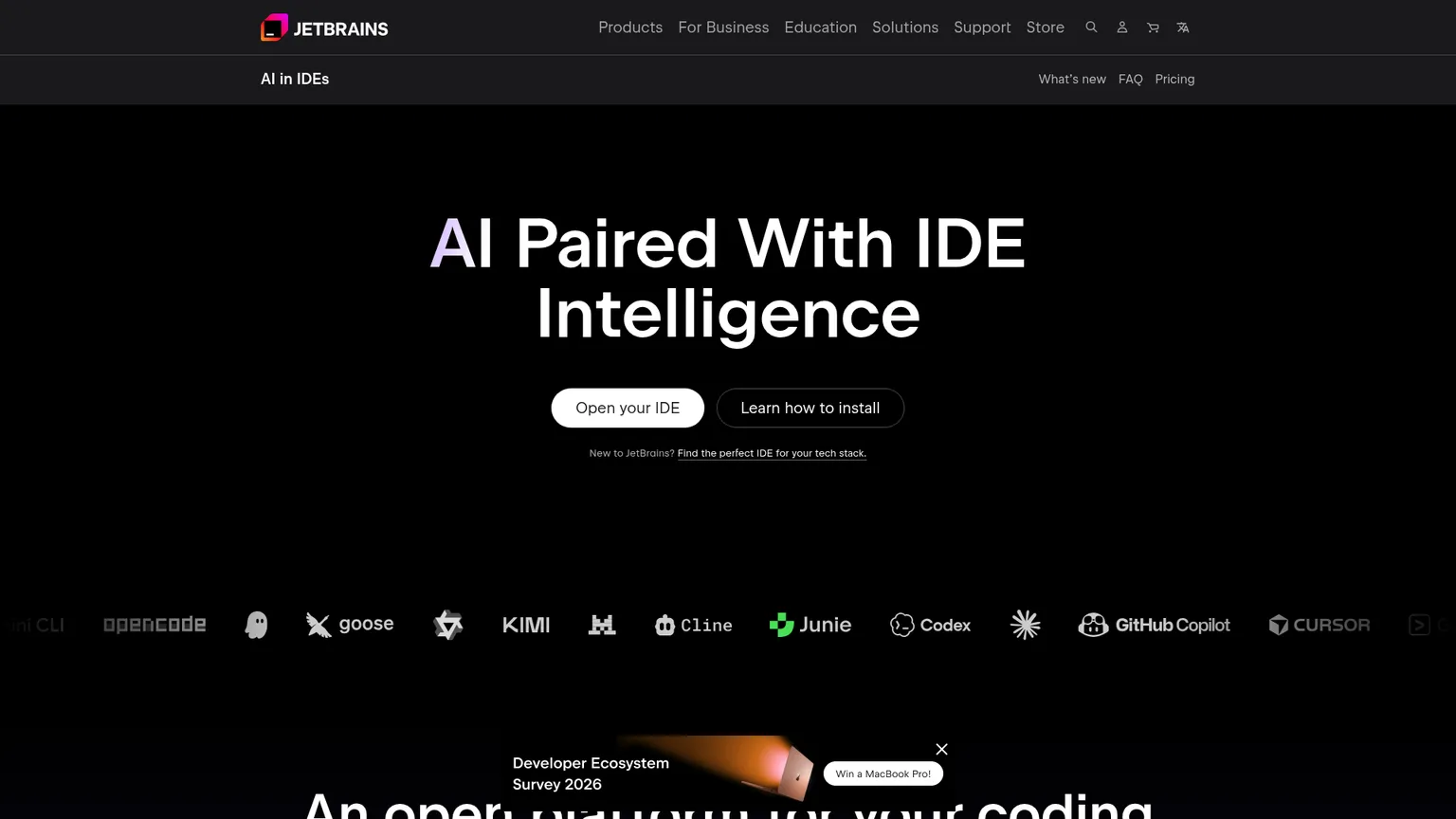 JetBrains AI screenshot