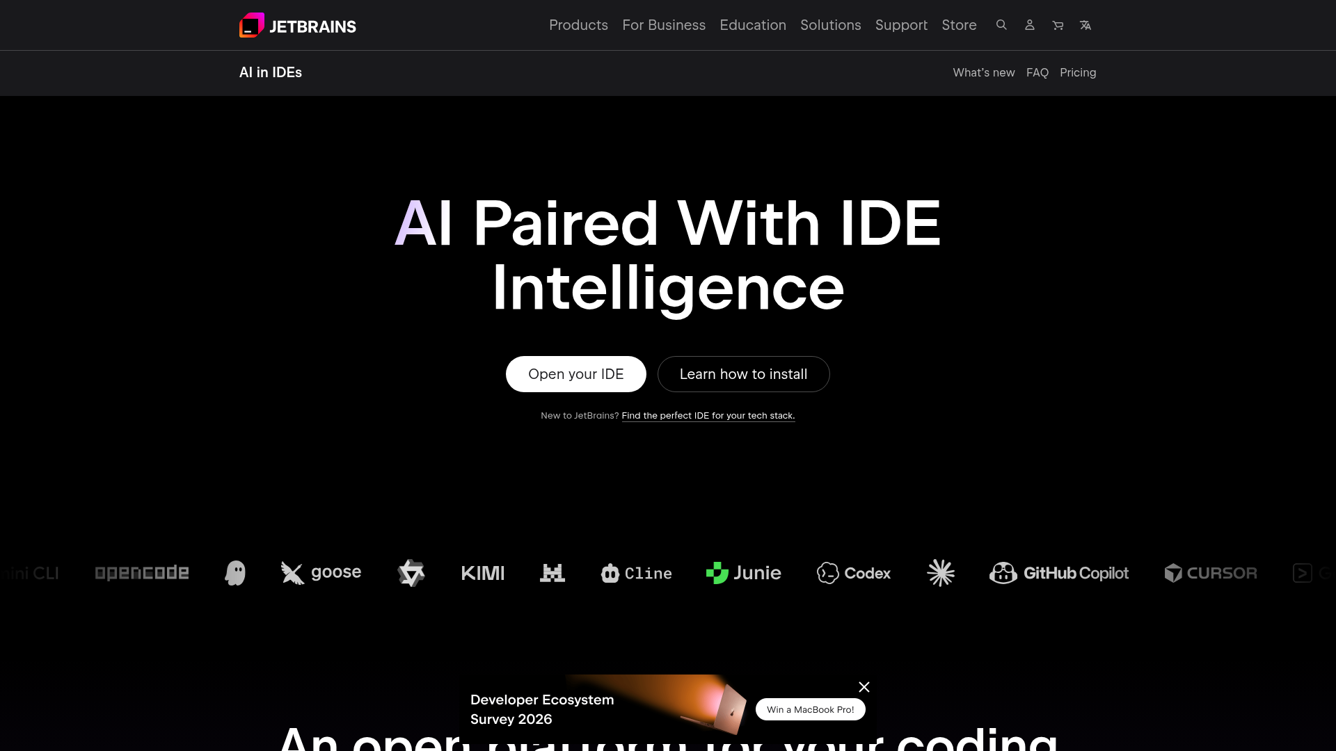 JetBrains AI screenshot