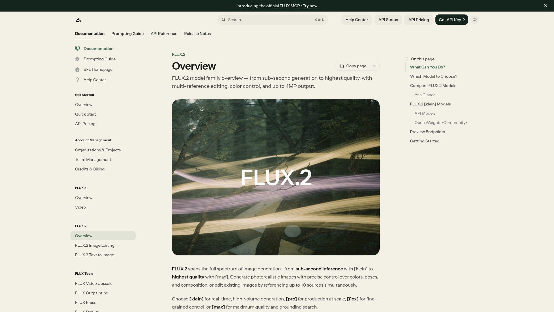 Black Forest Labs FLUX.2 model family and multi-reference editing examples