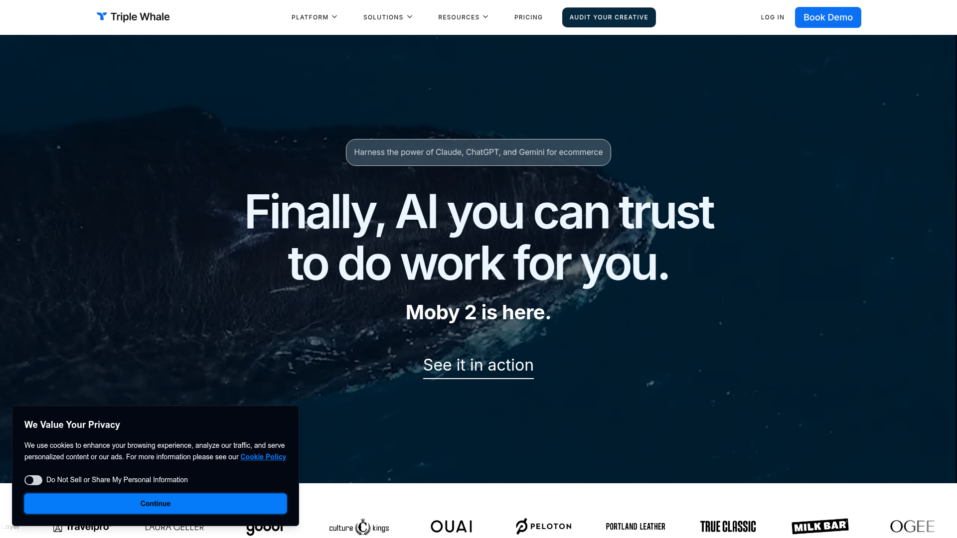 Triple Whale screenshot