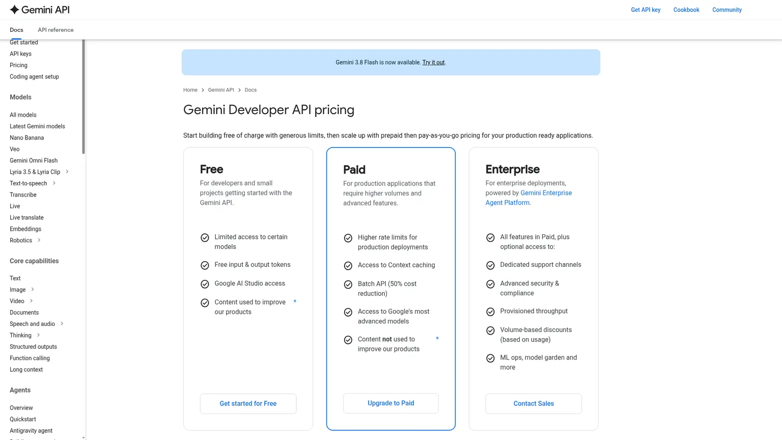 Google's official Gemini Developer API pricing page